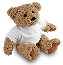 Toon details voor Pluche Teddy Beer 18 cm. - inclusief combi shirt Afbeelding van Pluche Teddy Beer 18 cm. - inclusief combi shirt